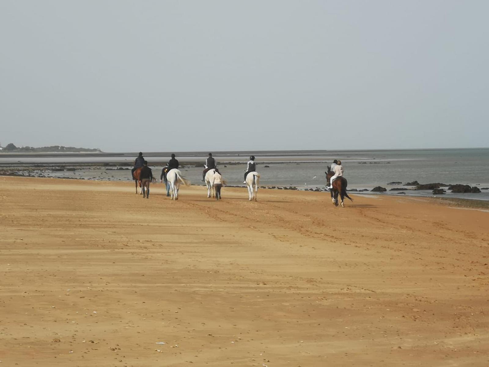 Sanlucarsun Apartamento Frente Al Mar Sanlucar de Barrameda Luaran gambar