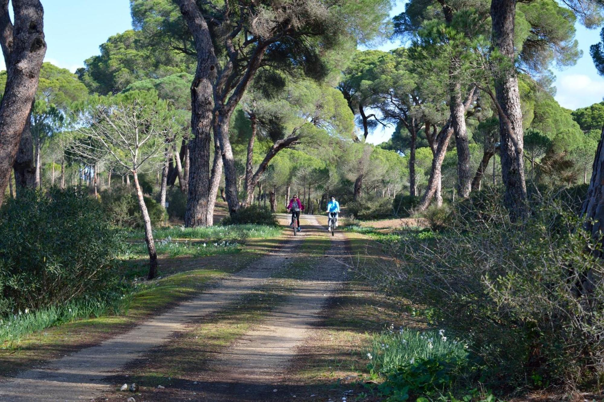 Sanlucarsun Apartamento Frente Al Mar Sanlucar de Barrameda Luaran gambar